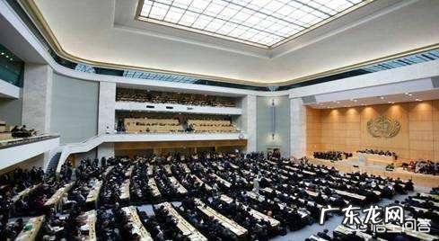 碳水化合物都包括什么?