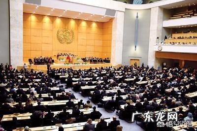 碳水化合物都包括什么?