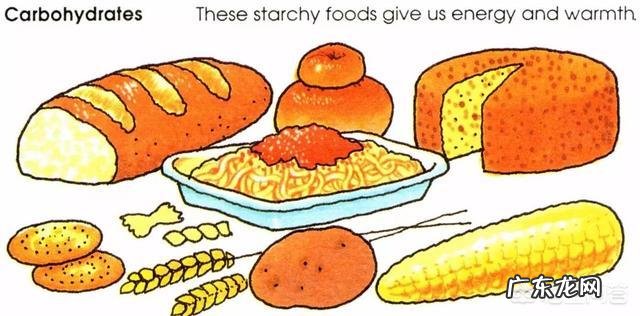 碳水化合物都包括什么?