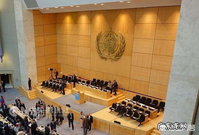 碳水化合物都包括什么?