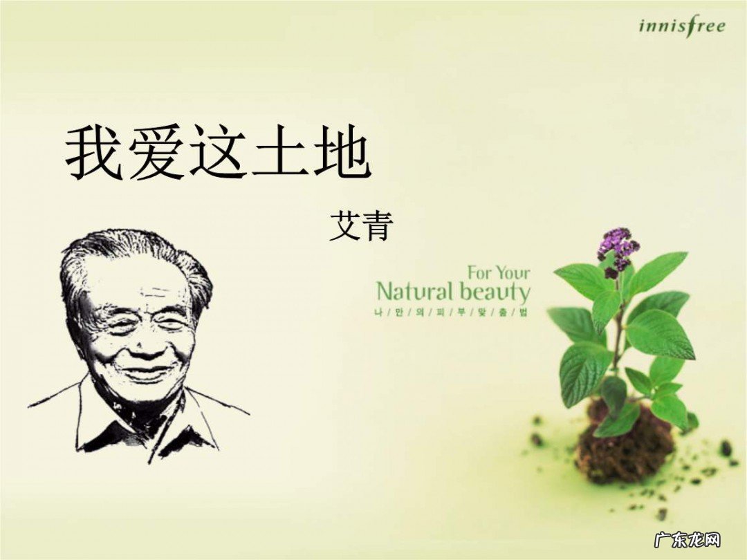 艾青诗选我爱这土地赏析