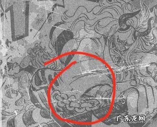 海贼王983大和并不是凯多家的傻儿子,他要带路飞拯救世界,这是怎么回事?