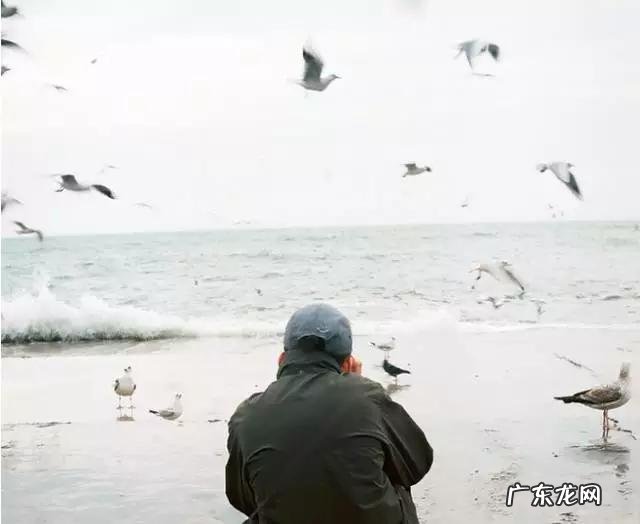 有哪些唯美的图片文字推荐?