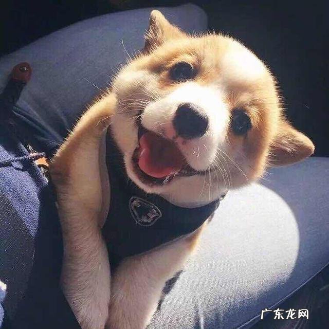 有哪些唯美的图片文字推荐？