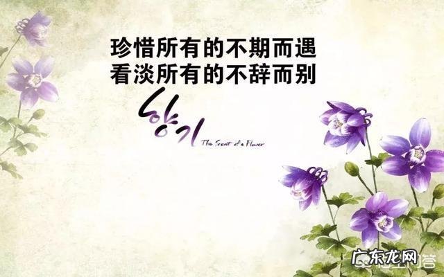 有哪些唯美的图片文字推荐？