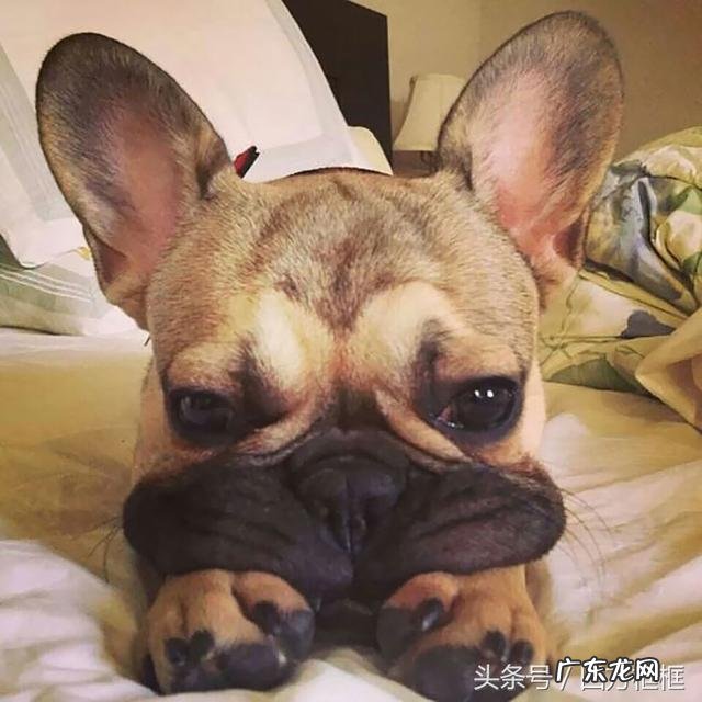 有哪些唯美的图片文字推荐?