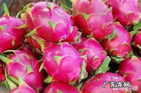 吃火龙果有哪些好处?