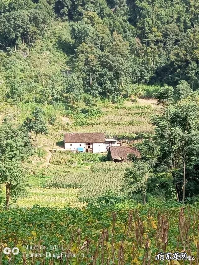 为什么有人说最穷最累最苦的都是农民?