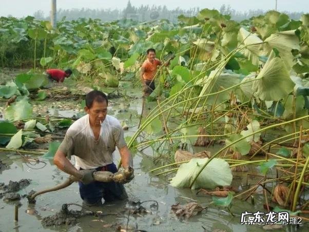 为什么有人说最穷最累最苦的都是农民?