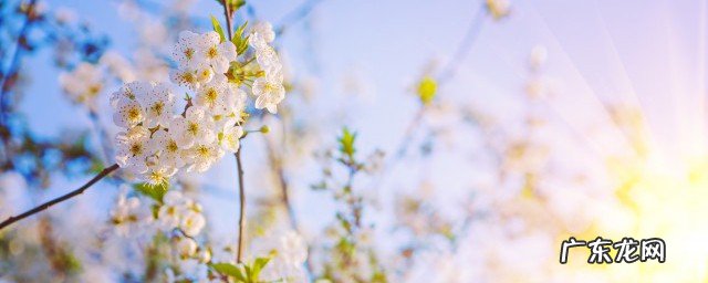 人生语录正能量语录