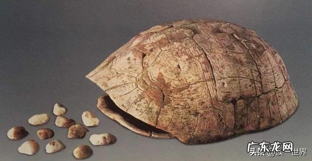 中国人的价值观是什么?