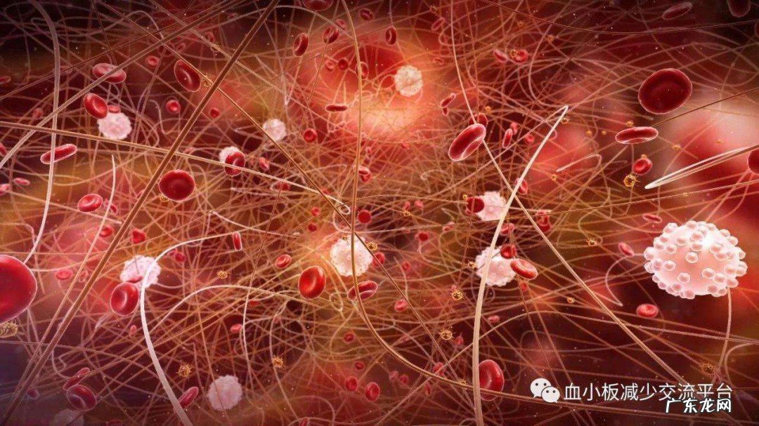 血小板减少应该怎么办