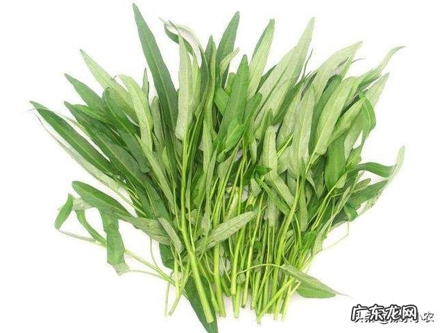 农民家里种空心菜,都喜欢在叶子上撒上草木灰,这有什么作用?