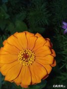 生理期需要穿特殊的文胸吗？