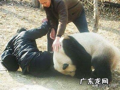 人在快饿死的情况下吃珍稀动物犯法吗?