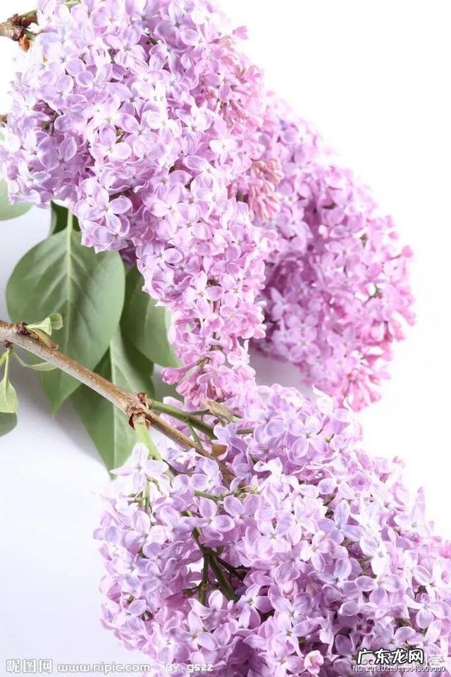 最近很喜欢淡香水，有哪些留香时间长，味道很舒服的淡香水推荐吗？