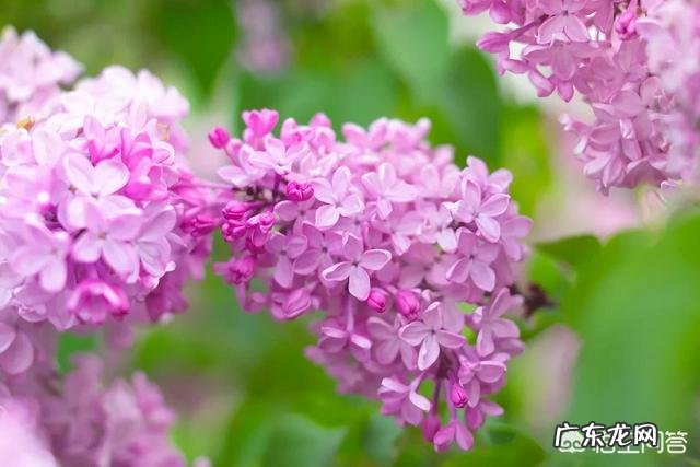 最近很喜欢淡香水，有哪些留香时间长，味道很舒服的淡香水推荐吗？