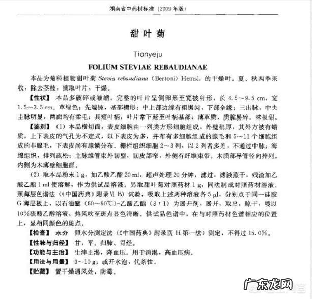 甜叶菊怎么给糖尿病人服用?