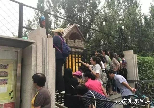 马上幼儿园开学了,孩子一提上学就哭怎么办?