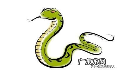 属蛇的与属兔的结婚合适吗？