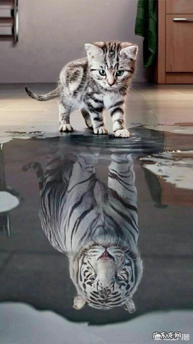 开花店,新手该怎么起步?