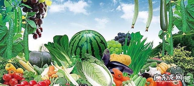 关于健身增肌,日常饮食该如何安排?