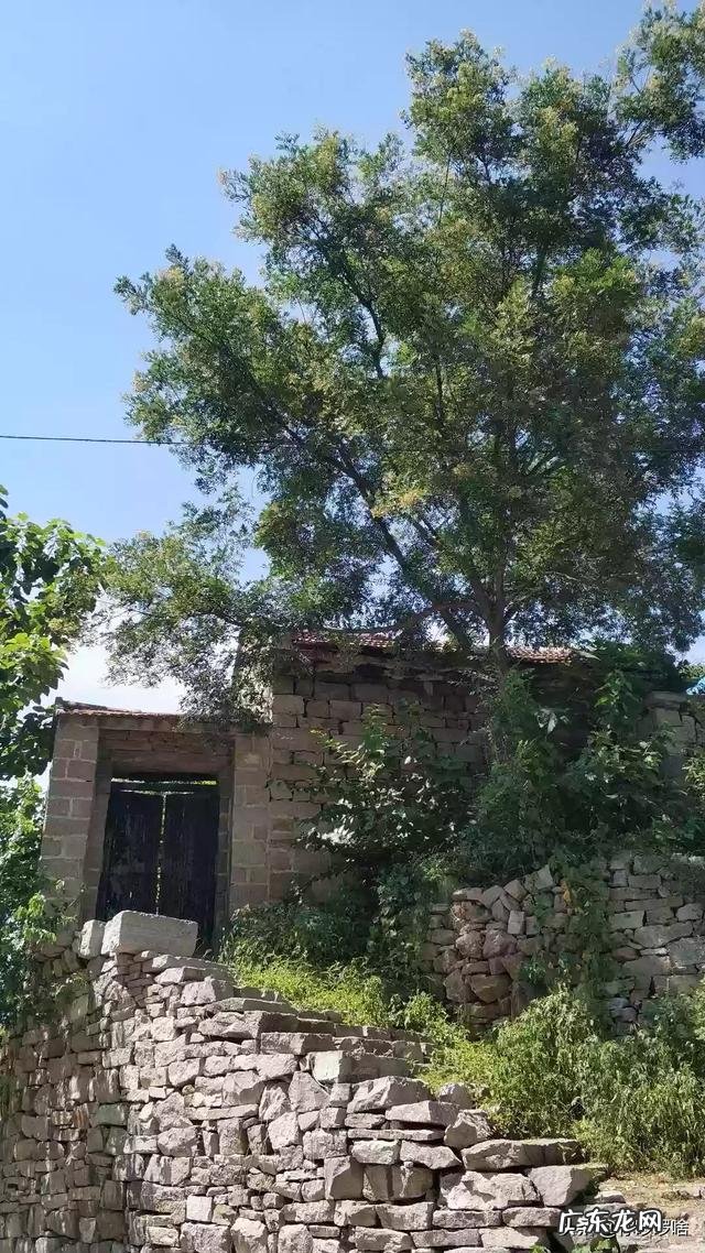 你认为骑自行车可以减肥吗?