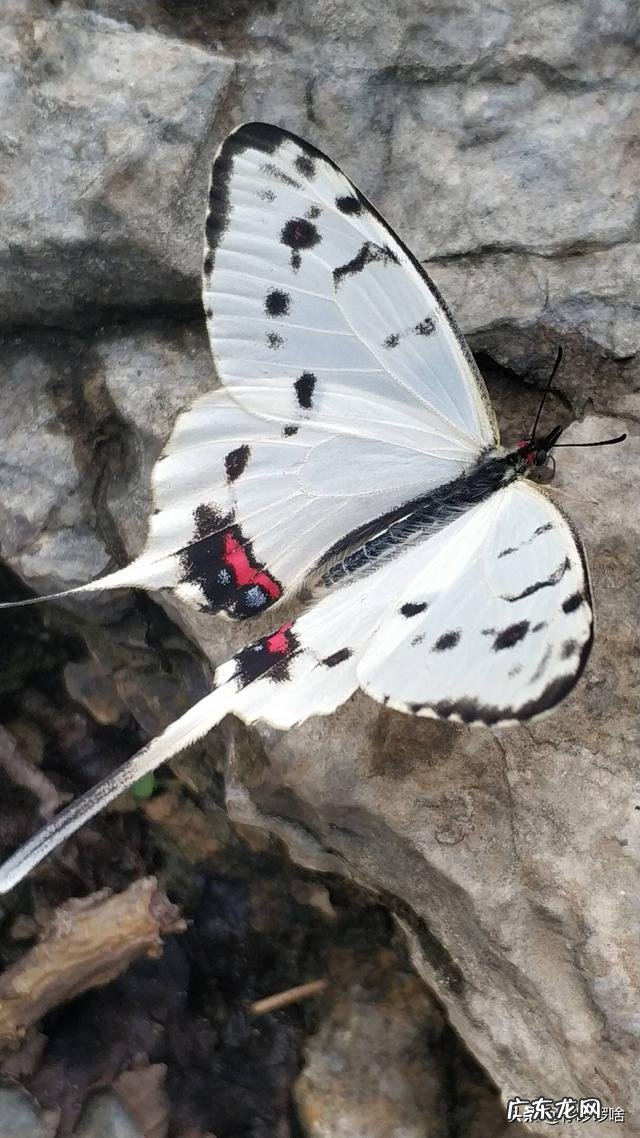 你认为骑自行车可以减肥吗?