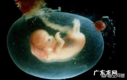 准妈妈发现羊水过少该如何应对？