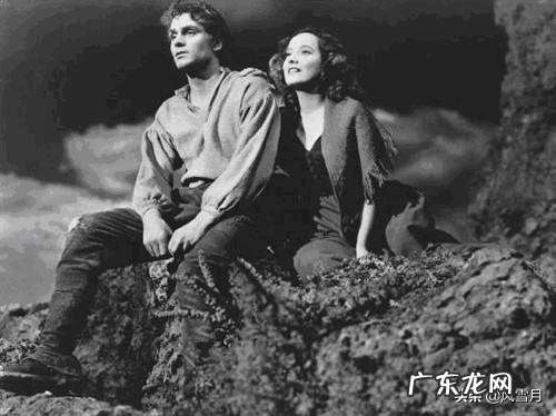 艾米莉·勃朗特的《呼啸山庄》讲述了怎样的故事，作者要表达什么？