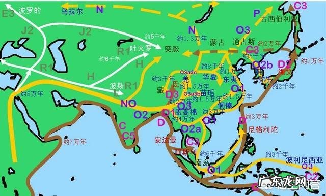 吐蕃人究竟从何而来?