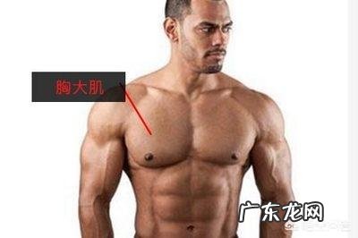 怎样用双杠臂屈练好胸肌和三角肌?