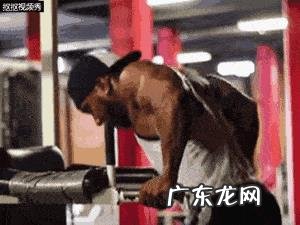 怎样用双杠臂屈练好胸肌和三角肌?