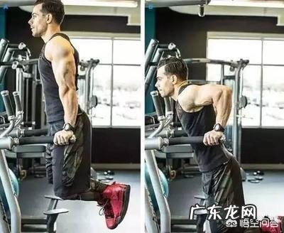 怎样用双杠臂屈练好胸肌和三角肌?
