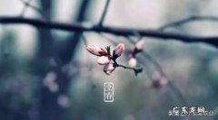 快立春了，农村有哪些农事？