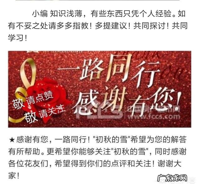 兰花怎么养苔藓?