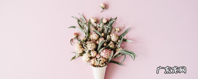 怎么做永不凋谢的花朵