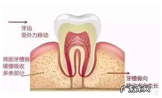 多大年纪做牙齿矫正比较好?
