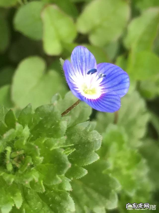 人从什么年龄开始养生比较适合?