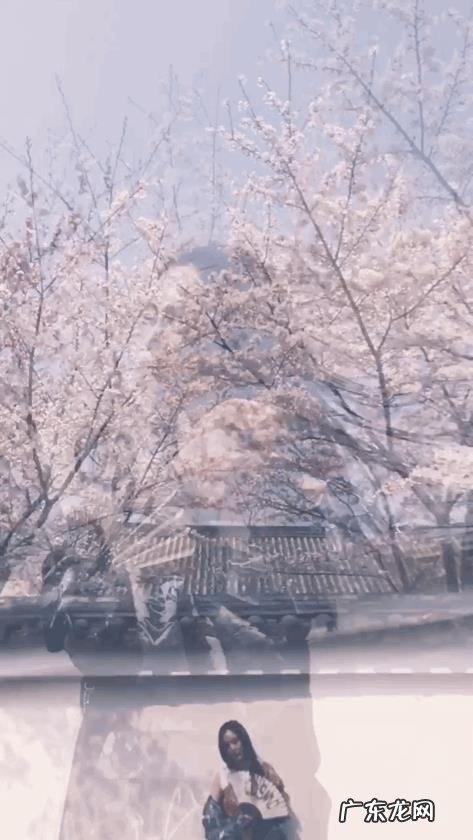 说到人心坎里的情话都有哪些?