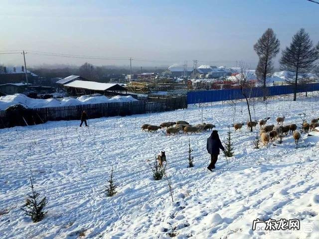 有哪些国内城市适合 寒假旅游?