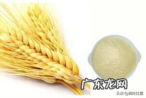 如何选择一款适合的抗衰老护肤品?