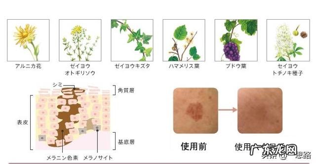 如何选择一款适合的抗衰老护肤品?