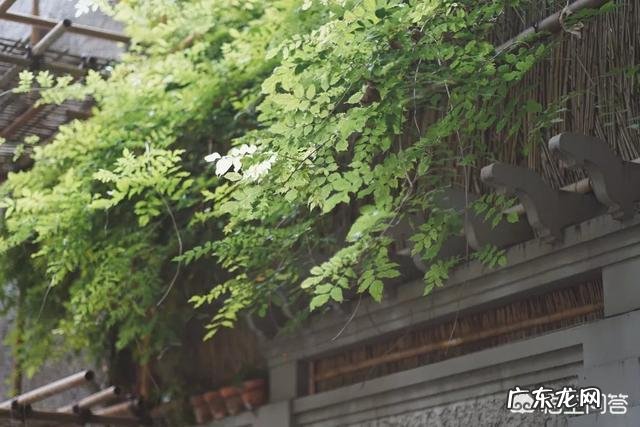 初秋日常搭配怎么穿?