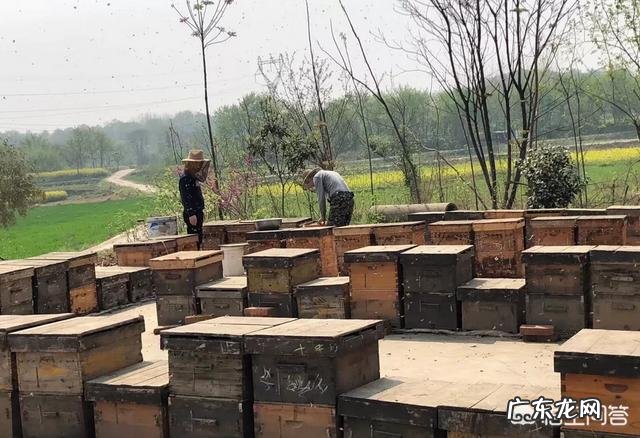 中医养生美容靠谱吗?