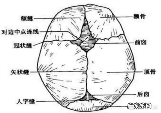新生儿的囟门如何正确护理?