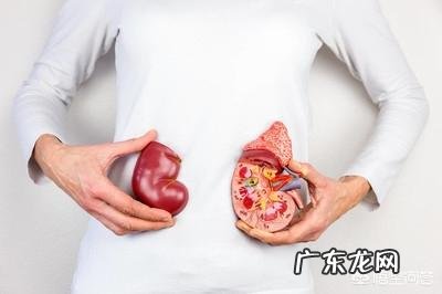 肾功能检测主要有哪些项目呢?