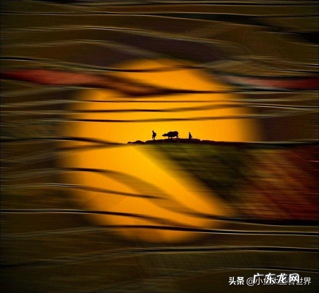 如果不会摄影，可以说爱好摄影吗？如何入门？