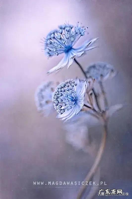 如果不会摄影，可以说爱好摄影吗？如何入门？