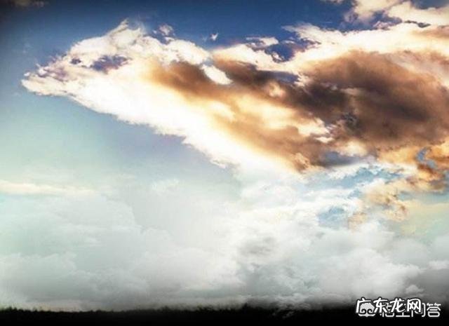 为什么许多组织要求学习狼的团队精神?